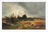 The Plateau of Ormesson - A Path through the Corn by Francois Louis Francais