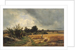 The Plateau of Ormesson - A Path through the Corn by Francois Louis Francais