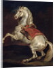 Napoleon's Stallion, Tamerlan by Theodore Gericault