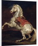 Napoleon's Stallion, Tamerlan by Theodore Gericault