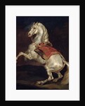 Napoleon's Stallion, Tamerlan by Theodore Gericault