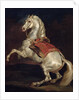Napoleon's Stallion, Tamerlan by Theodore Gericault