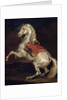 Napoleon's Stallion, Tamerlan by Theodore Gericault