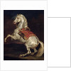 Napoleon's Stallion, Tamerlan by Theodore Gericault