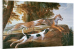 The Wolf Hunt, c.1720 by Alexandre-Francois Desportes