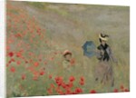 Wild Poppies, near Argenteuil, 1873 by Claude Monet
