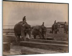 Working with elephants, c.1880 by Philip Adolphe Klier