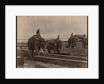 Working with elephants, c.1880 by Philip Adolphe Klier