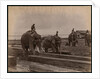 Working with elephants, c.1880 by Philip Adolphe Klier