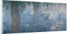 Waterlilies: Morning with Weeping Willows, 1914-18 by Claude Monet
