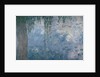Waterlilies: Morning with Weeping Willows, 1914-18 by Claude Monet