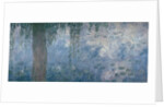 Waterlilies: Morning with Weeping Willows, 1914-18 by Claude Monet