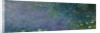 Waterlilies: Morning, 1914-18 by Claude Monet