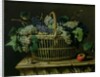 A Basket of Grapes by Pierre Dupuis