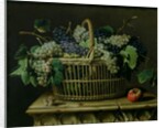 A Basket of Grapes by Pierre Dupuis
