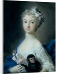 Girl holding a monkey, 18th century by Rosalba Giovanna Carriera