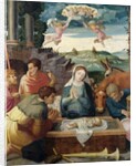 Adoration of the Shepherds, Champagne School, c.1520-30 by French School