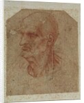 Head of a beardless old man, left profile by Leonardo da Vinci