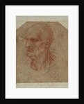 Head of a beardless old man, left profile by Leonardo da Vinci