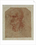 Head of a beardless old man, left profile by Leonardo da Vinci