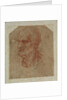 Head of a beardless old man, left profile by Leonardo da Vinci