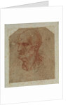 Head of a beardless old man, left profile by Leonardo da Vinci