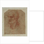 Head of a beardless old man, left profile by Leonardo da Vinci