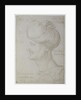 Head of Suleyman the Magnificent 1526 by Albrecht Dürer or Duerer