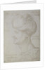 Head of Suleyman the Magnificent 1526 by Albrecht Dürer or Duerer