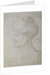 Head of Suleyman the Magnificent 1526 by Albrecht Dürer or Duerer
