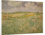The Plain at Auvers, 1890 by Vincent van Gogh