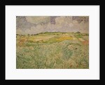 The Plain at Auvers, 1890 by Vincent van Gogh
