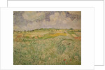 The Plain at Auvers, 1890 by Vincent van Gogh