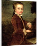 Portrait of Wolfgang Amadeus Mozart aged eight, holding a bird's nest, 1764-65 by Johann Zoffany