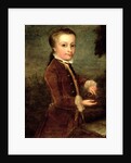 Portrait of Wolfgang Amadeus Mozart aged eight, holding a bird's nest, 1764-65 by Johann Zoffany