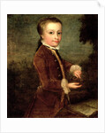 Portrait of Wolfgang Amadeus Mozart aged eight, holding a bird's nest, 1764-65 by Johann Zoffany