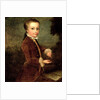 Portrait of Wolfgang Amadeus Mozart aged eight, holding a bird's nest, 1764-65 by Johann Zoffany