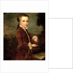 Portrait of Wolfgang Amadeus Mozart aged eight, holding a bird's nest, 1764-65 by Johann Zoffany