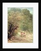 The Hunted Roe-Deer on the alert, Spring, 1867 by Gustave Courbet