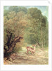 The Hunted Roe-Deer on the alert, Spring, 1867 by Gustave Courbet