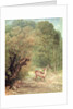The Hunted Roe-Deer on the alert, Spring, 1867 by Gustave Courbet