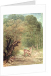 The Hunted Roe-Deer on the alert, Spring, 1867 by Gustave Courbet