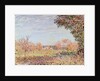 September Morning, c.1887 by Alfred Sisley