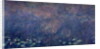 Waterlilies: Two Weeping Willows, centre left section, c.1915-26 by Claude Monet