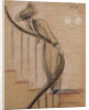 The Staircase by Paul Cesar Helleu