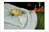 Antoine de Henin, Bishop of Ypres, on his death bed by Jean the Younger Bellegambe