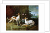 Misse and Turlu, two greyhounds of Louis XV by Jean-Baptiste Oudry