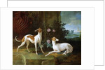 Misse and Turlu, two greyhounds of Louis XV by Jean-Baptiste Oudry