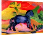 Little Blue Horse, 1912 by Franz Marc