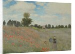 Wild Poppies, near Argenteuil, 1873 by Claude Monet